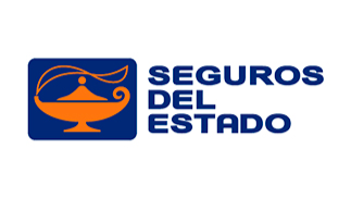 Seguro seguro-del-estado